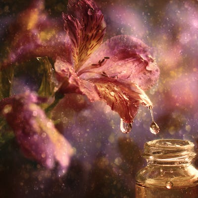 Bach Flowers and Emotional Balance